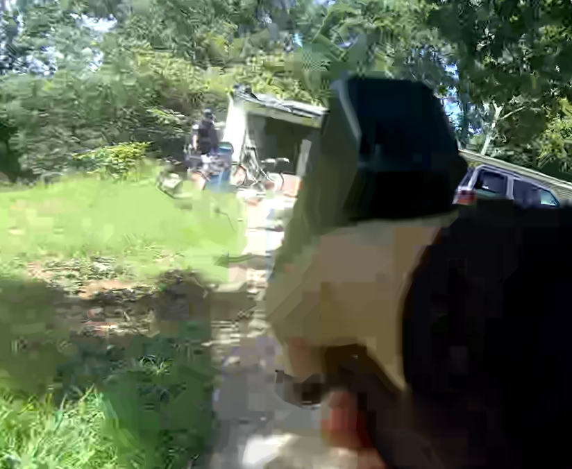 Dog Attack
